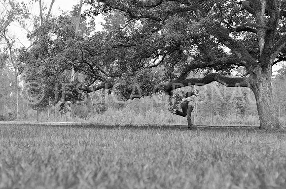 DSC_0083b