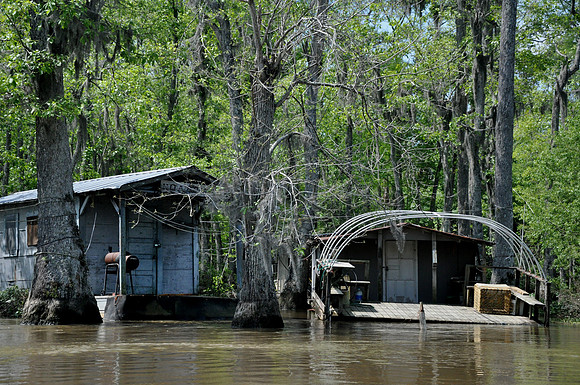 L_Swamp_7