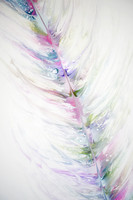 Plume 2