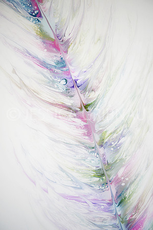 Plume 2