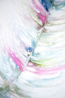 Plume 1