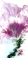 Nana’s Flower
