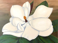 Magnolia