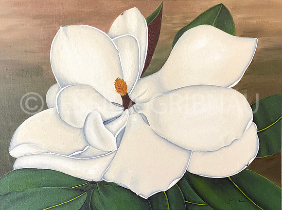 Magnolia