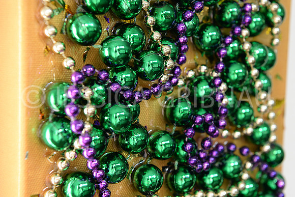 Bourbon St. After Mardi Gras