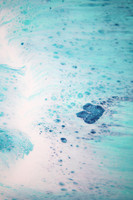 Sea Foam