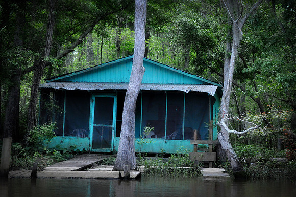 L_Swamp_8