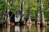 L_Swamp_1