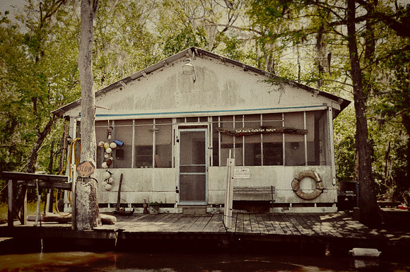 L_Swamp_29