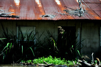 L_Swamp_13