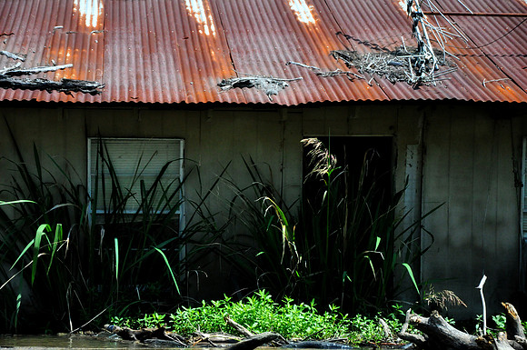 L_Swamp_13
