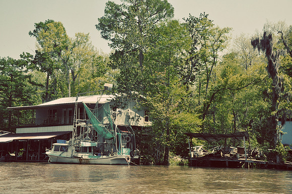 L_Swamp_27